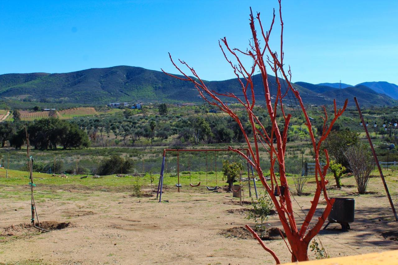 Rancho Matalote En Valle De Guadalupe Kültér fotó